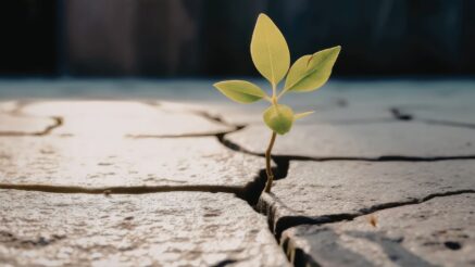 The Neurodivergent Business Owner’s Guide to Having a Website That Doesn’t Exhaust You to Maintain